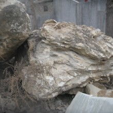 欣赏假山石，感受自然与艺术的融合！