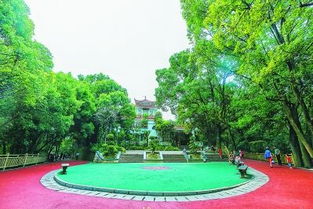 绿化盲区的隐患