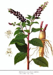 保存期限和储存条件