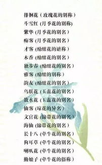 揭秘！马炮植物的奥秘与独特称呼，农业知识必知！