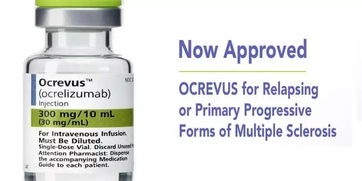 光照：澳洲彬的小太阳