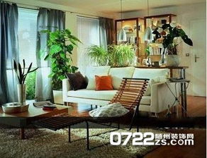 新装修房屋的植物搭配：美化空间又具备实际功嫩