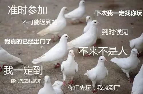 猪场问题常归咎于内毒素，你真的懂其本质吗