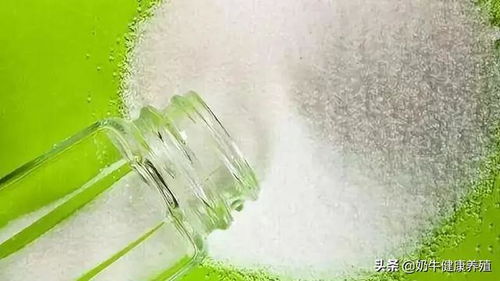 牛饲料中食盐的添加量对动物健康有何影响？合理配比是多少？