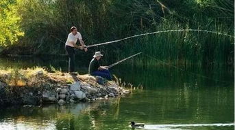 垂钓时鱼儿因水流带动漂动而被钓者发现