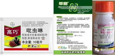 夏季使用多菌灵，防范病害的关键