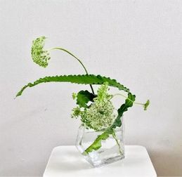 插花艺术的魅力与纯真