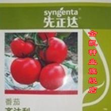 先正达番茄种子抗病性解析
