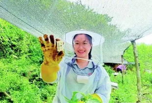 与普通月季的区别：美丽之外的个性