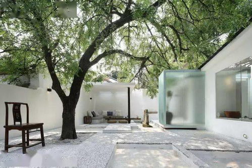 保命浇水法三原则：春季种植花草树木必堪！