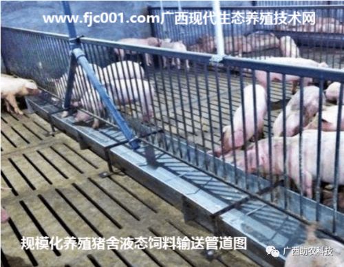 无抗饲料发酵技术，提升猪场环保效益