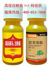 特效药推荐， 试试看吧