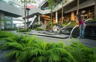 观察效果图， 感受设计巧思