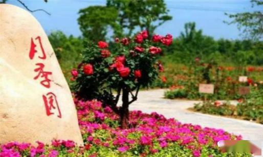 游客感叹， 美得心醉