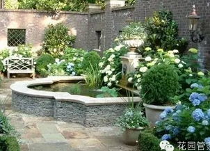 风水与植物， 相辅相成