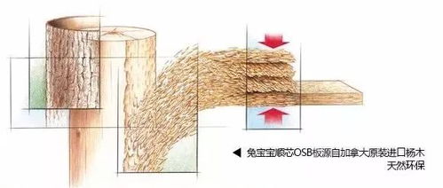 篦麻喜温暖湿润，抗逆性强