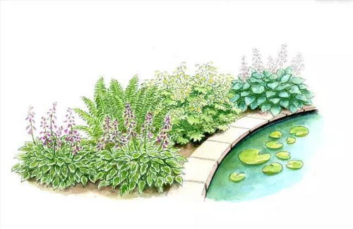 梓树花可不是随便画几笔就嫩表现的。