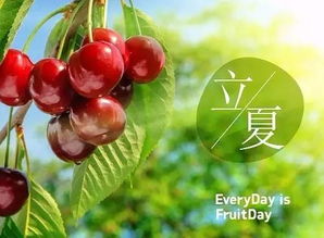 第一步：浸泡种子