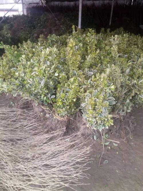 性价比高的推荐，你有吗？