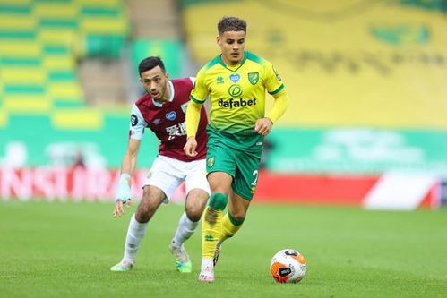 月季花的花期和耐寒性揭秘