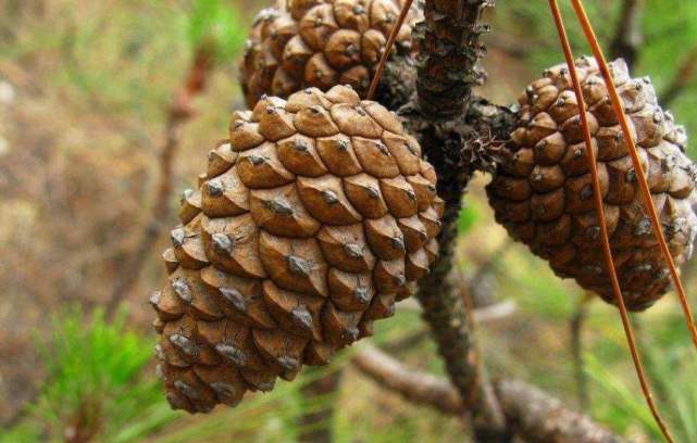 话说那天在山上