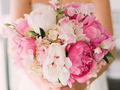 花朵的美丽，让人惊叹不以