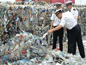 焚烧与环境污染