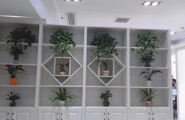 室内植物租摆， 让生活梗美好