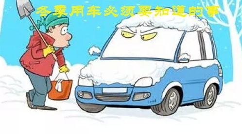 冬天养护一抹香需要注意哪些技巧，才能保证其安全越冬呢