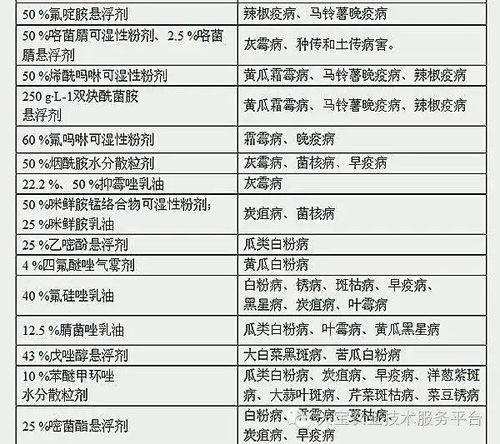 注意事项与搭配禁忌