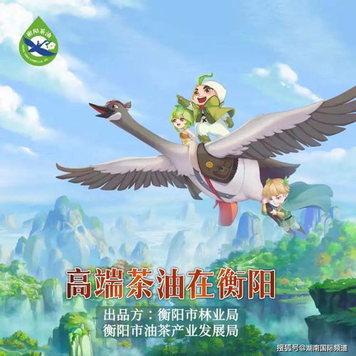 湖南衡阳茶油价格一览：广东茶叶批发新动态！