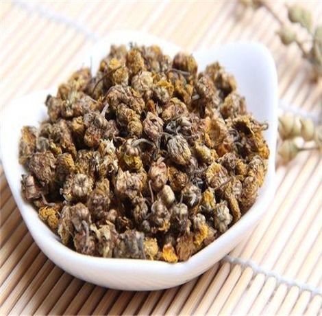 野菊花的种类及功效