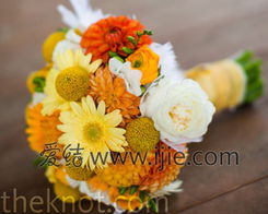 艾菲， 这个月的艾菲