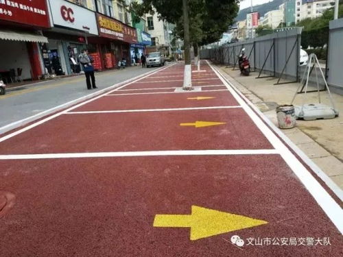 草种选择：停车场环境下的“小聪明”