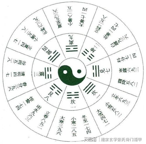 木菊每天浇水最佳时间是什么如何正确把握浇水方法