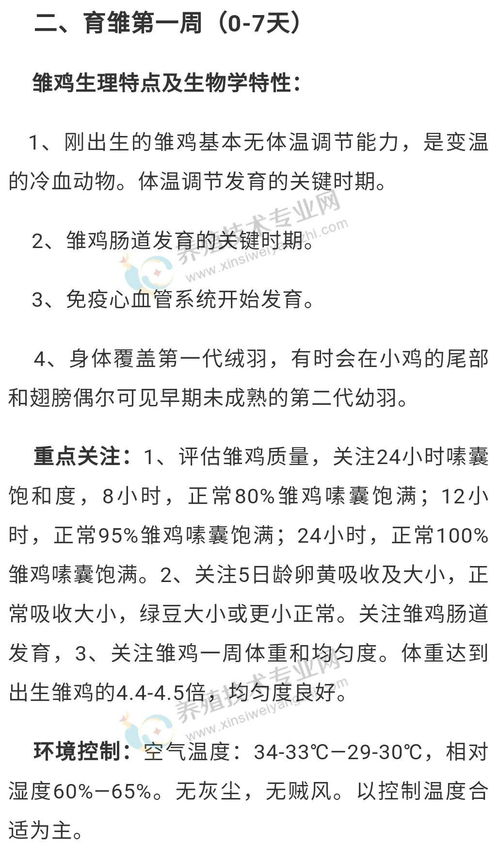 肉鸡日龄差异生理特性与通风管理