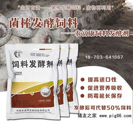 发酵饲料加菌糟能省30%成本吗？新手如何变废为宝制作高效饲料？