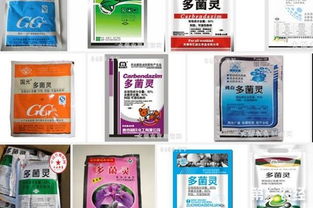 多菌灵可以直接喷在叶子上吗？使用方法和注意事项有哪些？