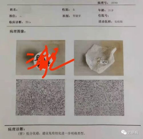 病原体：隐藏在叶片中的敌人