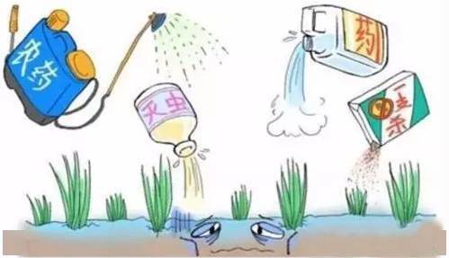 赶紧就医，专业指导