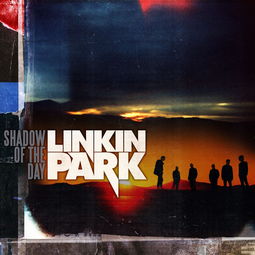 月季花开的奥秘——白昼黑影月季揭秘