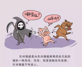 非洲猪瘟特点有哪些？如何有效防治