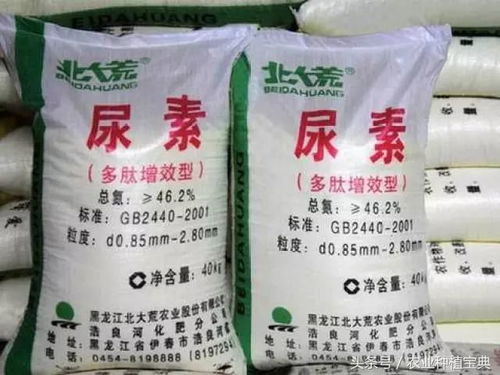 尿素价格波动， 何去何从