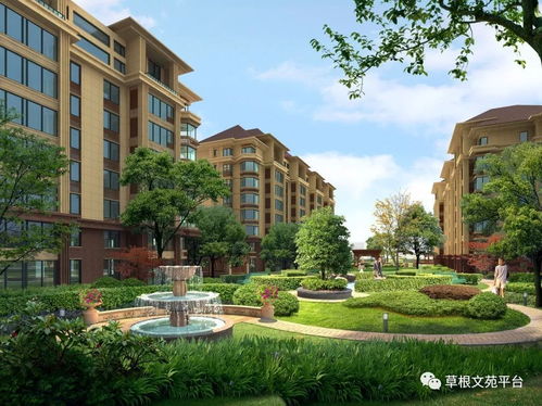 三、 种草的注意事项