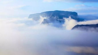 峨眉霞光， 芽子也在生长