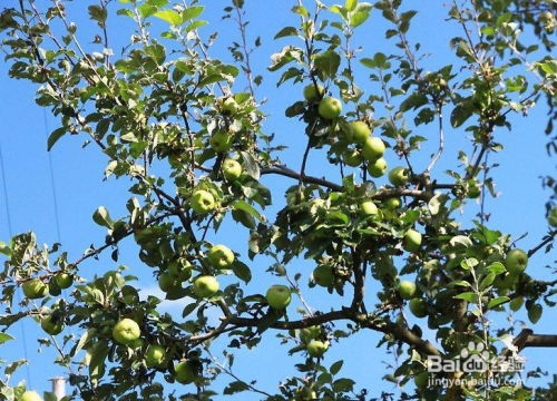 选择合适的时机