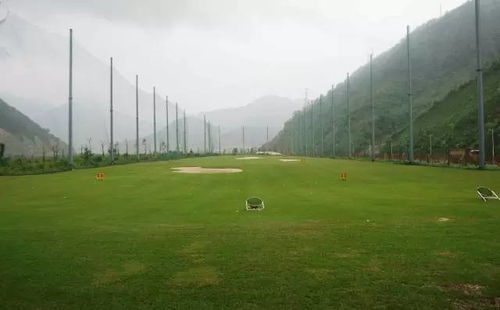 如何选择高尔夫球场草种？