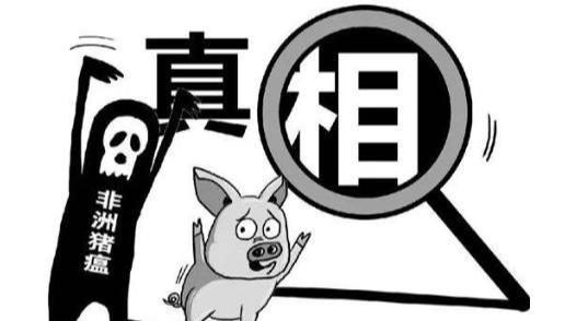 猪场消毒≠走过场！你的消毒方法真的有效吗