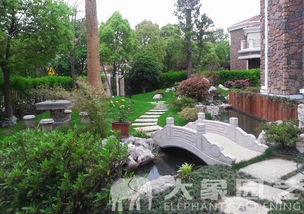 庭院里的自然风情