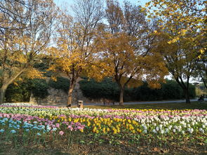 彩虹与少女的舞蹈